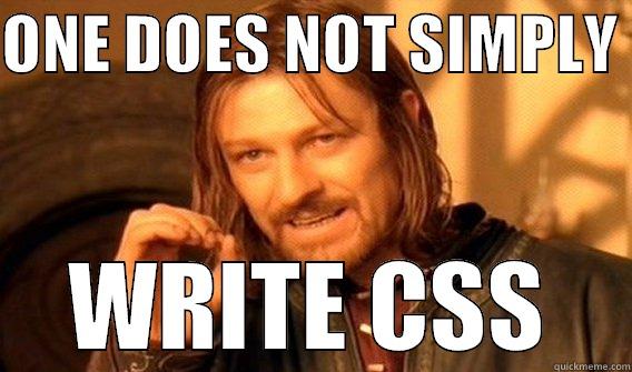 simply write css - ONE DOES NOT SIMPLY  WRITE CSS One Does Not Simply