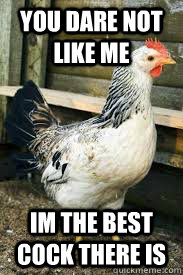 You dare not like me Im the best cock there is  