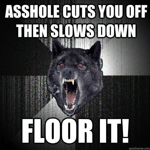asshole cuts you off then slows down FLOOR IT!  Insanity Wolf