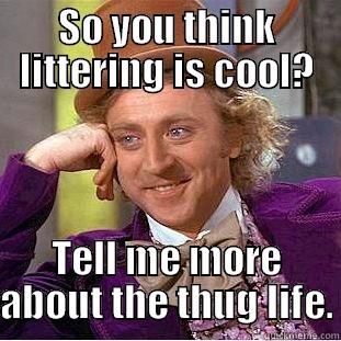 SO YOU THINK LITTERING IS COOL? TELL ME MORE ABOUT THE THUG LIFE. Condescending Wonka