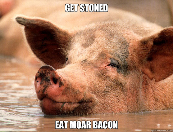 get stoned eat moar bacon - get stoned eat moar bacon  Stoner Pig