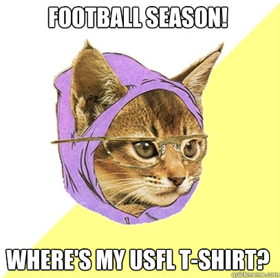 Football season! where's my usfl t-shirt?  Hipster Kitty