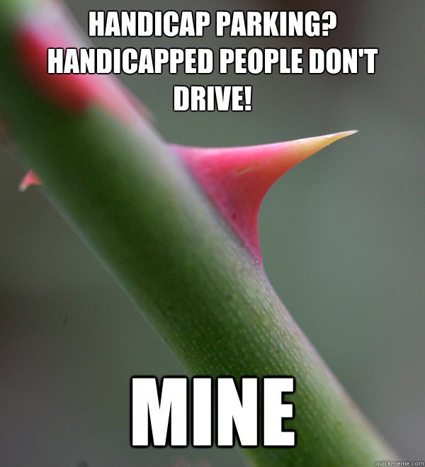 Handicap Parking? Handicapped People Don't drive!  Mine  Self Important Prick