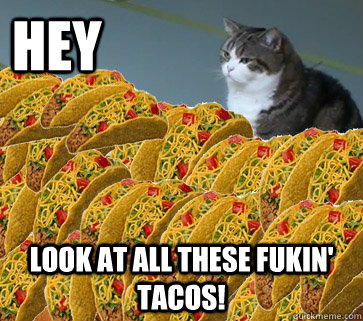 hey           look at all these fukin' tacos!  Cat And Hotdogs