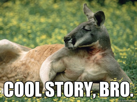  COOL STORY, BRO. -  COOL STORY, BRO.  Quickmeme Critic Kangaroo