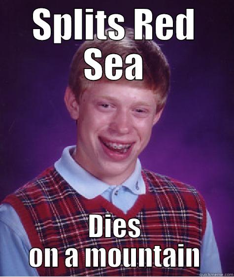 SPLITS RED SEA DIES ON A MOUNTAIN Bad Luck Brian