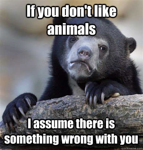 If you don't like animals I assume there is something wrong with you  Confession Bear