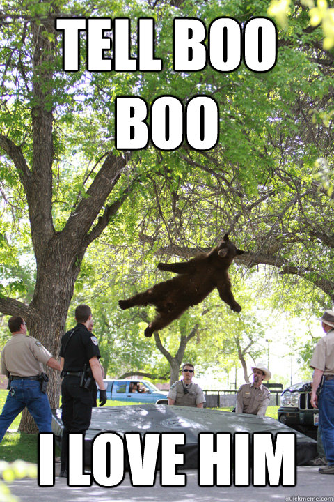 Tell boo boo I love him  Boulder Bear