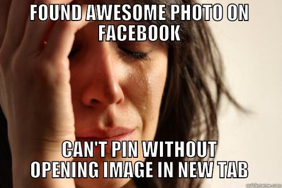 FOUND AWESOME PHOTO ON FACEBOOK CAN'T PIN WITHOUT OPENING IMAGE IN NEW TAB First World Problems