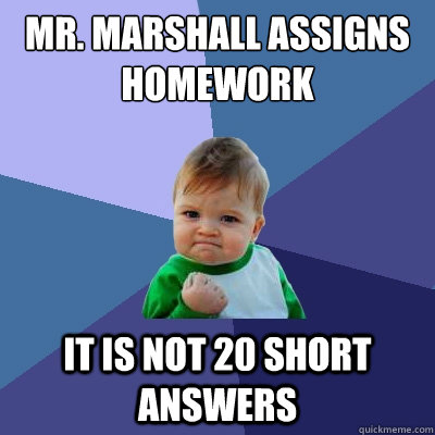 Mr. marshall assigns homework it is not 20 short answers  Success Kid