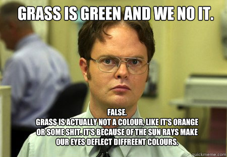 Grass is green and we no it. FALSE.  
Grass is actually not a colour, like it's orange or some shit. It's because of the sun rays make our eyes deflect diffreent colours.  Schrute