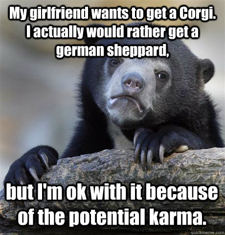 My girlfriend wants to get a Corgi.  I actually would rather get a german sheppard, but I'm ok with it because of the potential karma.  Confession Bear