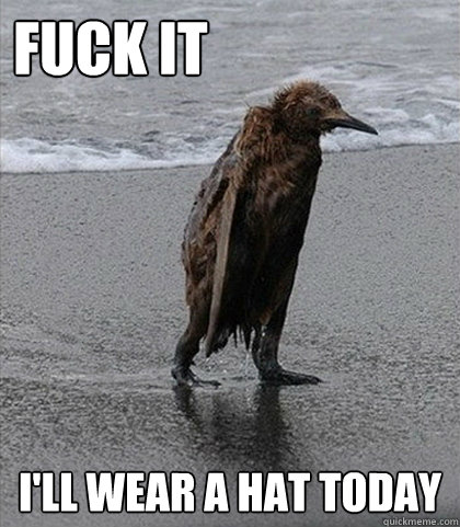 Fuck it I'll wear a hat today  Fuck it