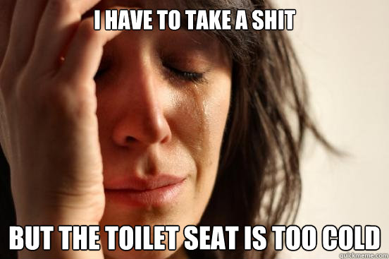 I have to take a shit but the toilet seat is too cold  First World Problems