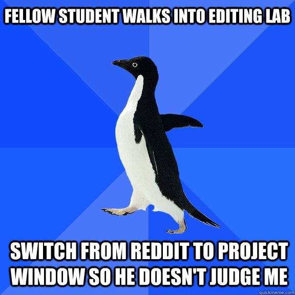Fellow student walks into editing lab switch from reddit to project window so he doesn't judge me  Socially Awkward Penguin