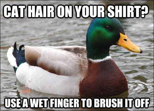 cat hair on your shirt? Use a wet finger to brush it off  Actual Advice Mallard