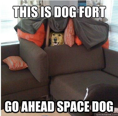 this is dog fort go ahead space dog  