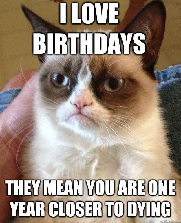 I love birthdays They mean you are one year closer to dying - I love birthdays They mean you are one year closer to dying  grumpy cat birthday