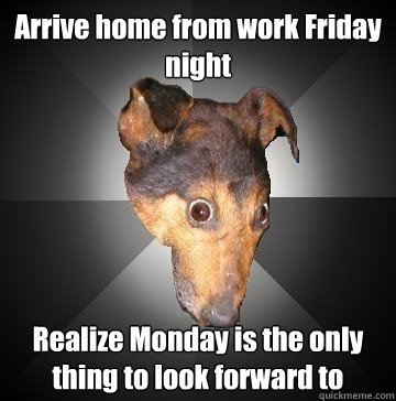 Arrive home from work Friday night Realize Monday is the only thing to look forward to  Depression Dog