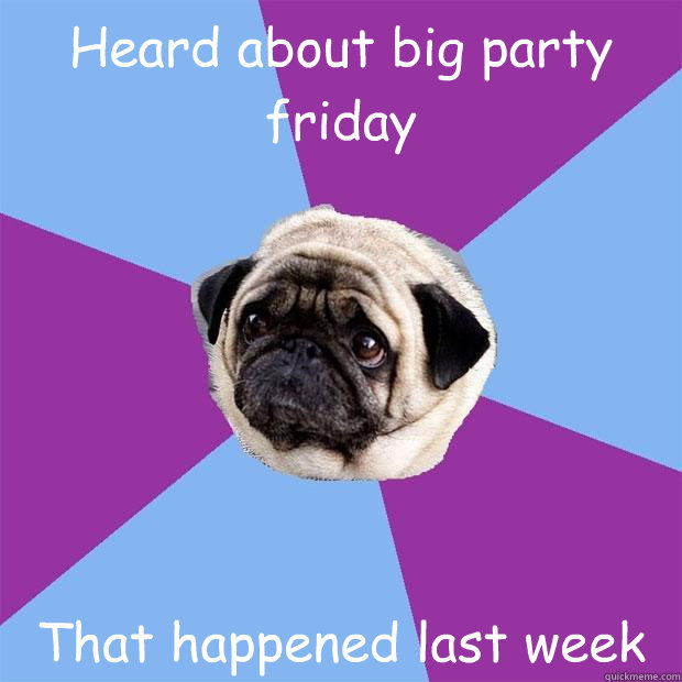Heard about big party friday That happened last week  Lonely Pug