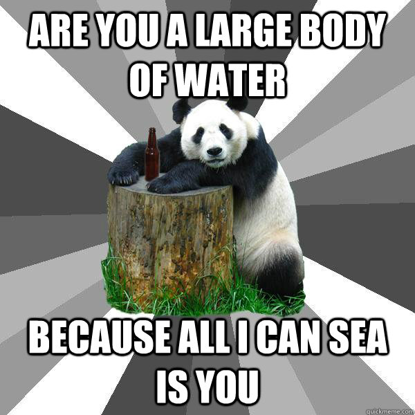 Are you a large body of water because all I can sea is you  Pickup-Line Panda