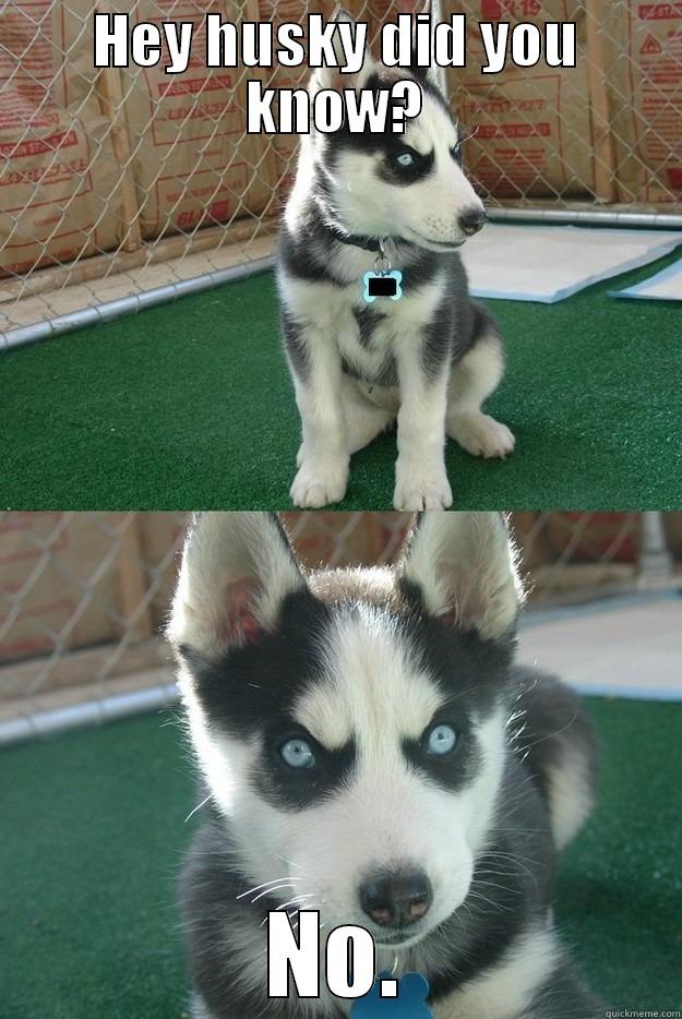 HEY HUSKY DID YOU KNOW? NO. Insanity puppy