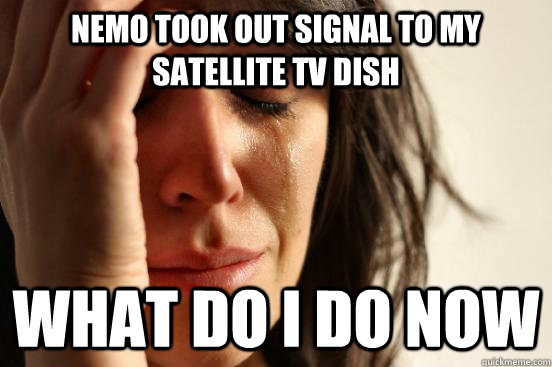 nemo took out signal to my satellite tv dish what do i do now  First World Problems
