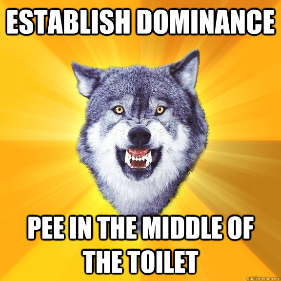 establish dominance pee in the middle of the toilet - establish dominance pee in the middle of the toilet  Courage Wolf