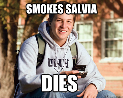 smokes salvia dies  College Freshman