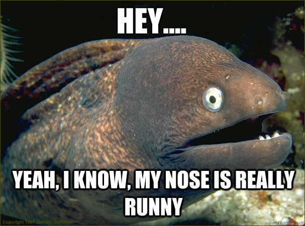 Hey.... Yeah, i know, my nose is really runny - Hey.... Yeah, i know, my nose is really runny  Caught in the act Moray