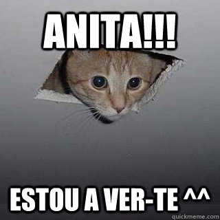 ANITA!!! Estou a ver-te ^^  Ceiling Cat