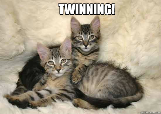 twinning!  Twinning