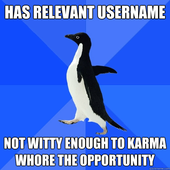 Has relevant username Not witty enough to karma whore the opportunity  Socially Awkward Penguin