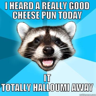 I HEARD A REALLY GOOD CHEESE PUN TODAY IT TOTALLY HALLOUMI AWAY Lame Pun Coon