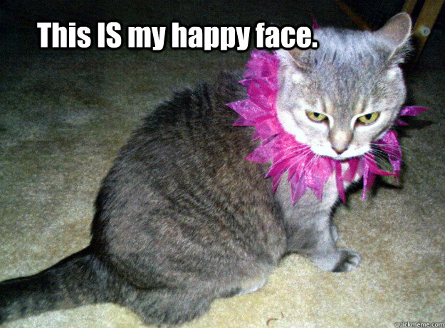 This IS my happy face. - This IS my happy face.  Happy Cat