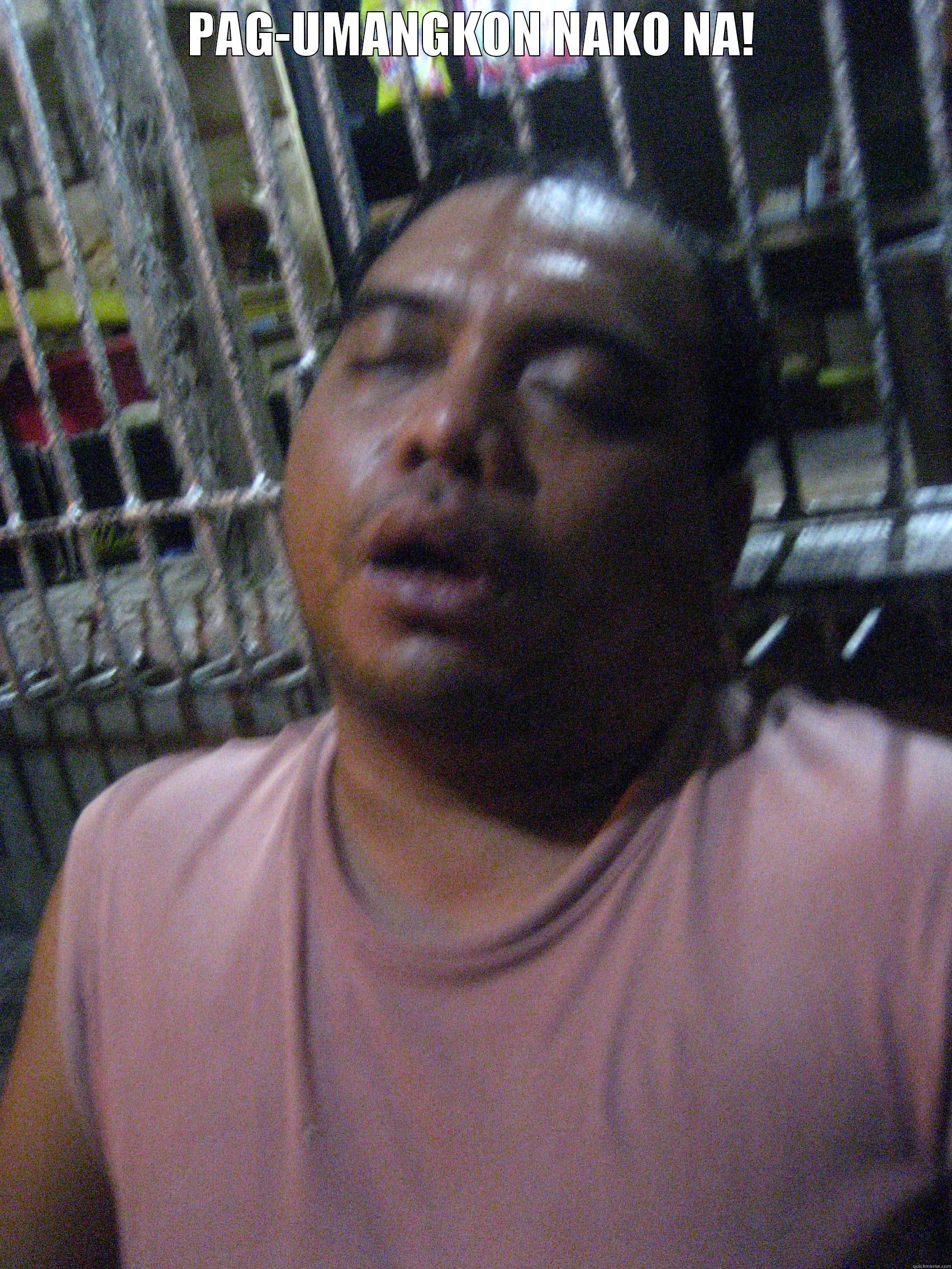 PAG-UMANGKON NAKO NA!  Misc