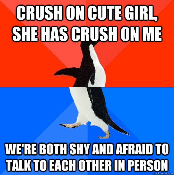 crush on cute girl, she has crush on me we're both shy and afraid to talk to each other in person  Socially Awesome Awkward Penguin