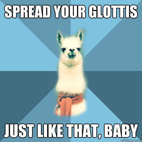 spread your glottis just like that, baby - spread your glottis just like that, baby  Linguist Llama