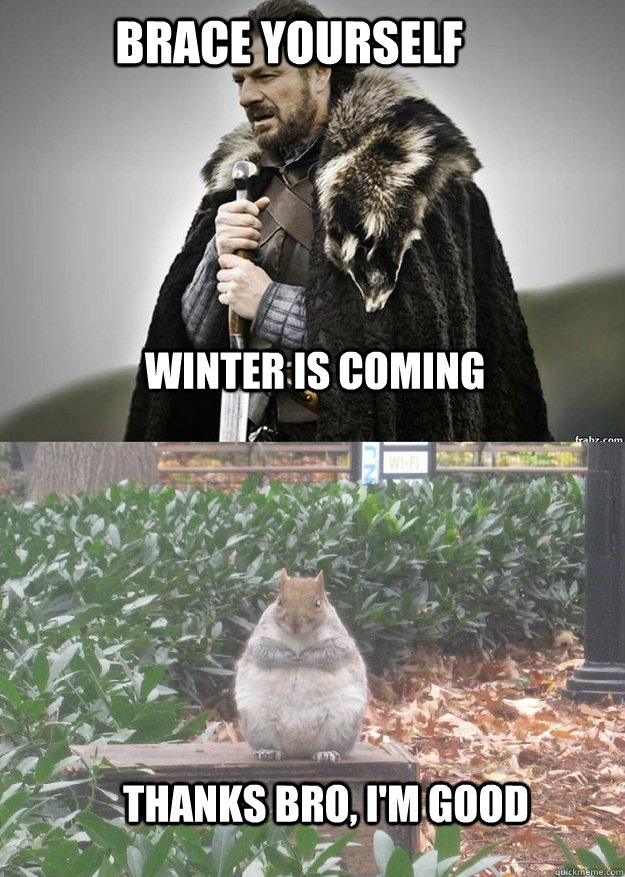 Brace yourself winter is coming thanks bro, I'm good  