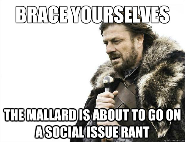 Brace yourselves the mallard is about to go on a social issue rant  Brace Yourselves - Borimir