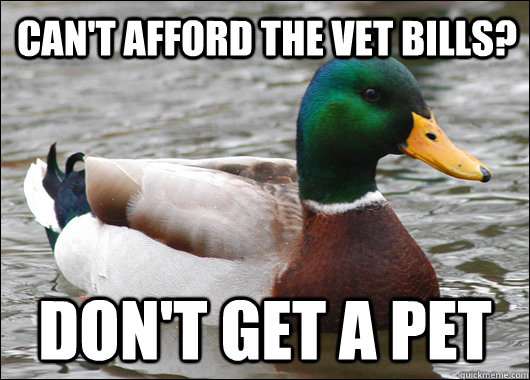 Can't afford the vet bills? don't get a pet - Can't afford the vet bills? don't get a pet  Actual Advice Mallard