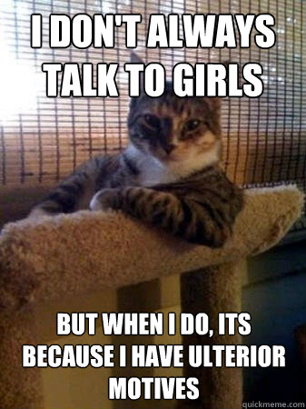 I don't always talk to girls but when I do, its because I have ulterior motives  The Most Interesting Cat in the World