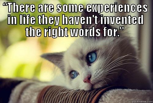 “THERE ARE SOME EXPERIENCES IN LIFE THEY HAVEN'T INVENTED THE RIGHT WORDS FOR.”   First World Problems Cat