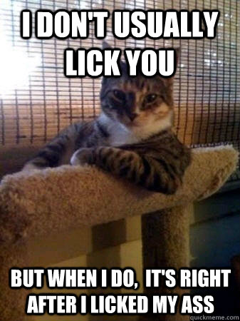 I don't usually lick you but when I do,  it's right after i licked my ass  The Most Interesting Cat in the World
