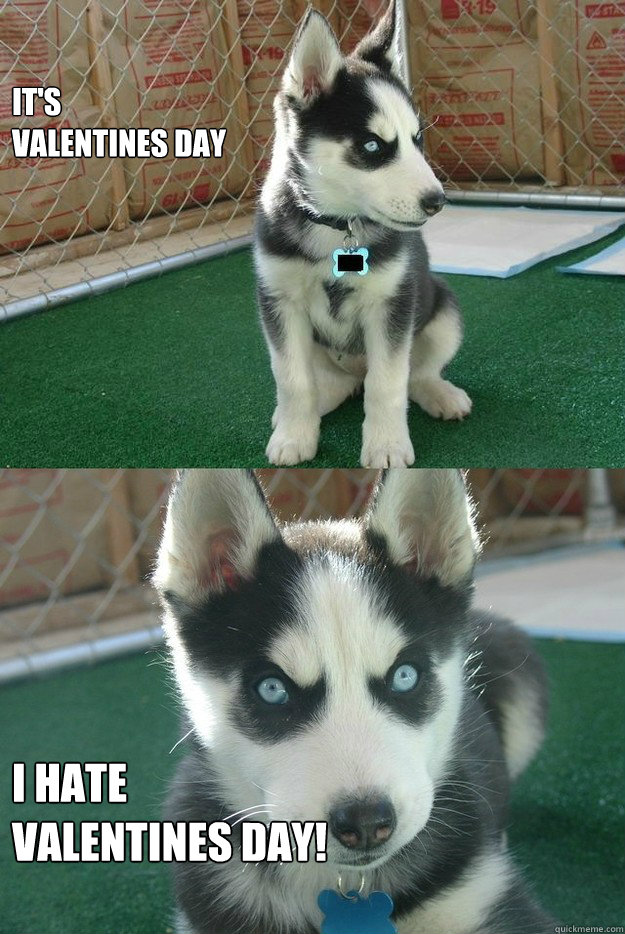 It's 
Valentines day I hate 
valentines day! - It's 
Valentines day I hate 
valentines day!  Insanity puppy