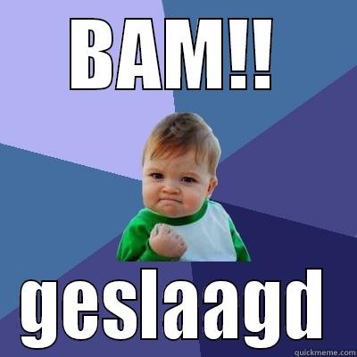 BAM !! GESLAAGD - BAM!! GESLAAGD Success Kid