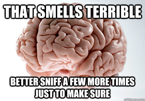 That smells terrible Better sniff a few more times just to make sure  Scumbag Brain