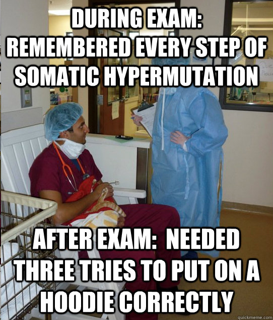 During exam:  Remembered every step of somatic hypermutation After exam:  Needed three tries to put on a hoodie correctly  Overworked Veterinary Student