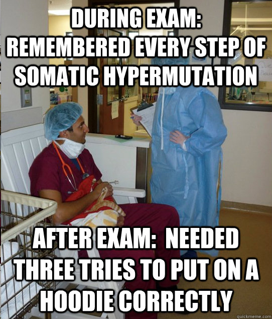 During exam:  Remembered every step of somatic hypermutation After exam:  Needed three tries to put on a hoodie correctly - During exam:  Remembered every step of somatic hypermutation After exam:  Needed three tries to put on a hoodie correctly  Overworked Veterinary Student