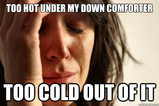 Too hot under my down comforter Too cold out of it  First World Problems